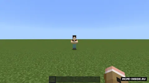 NPC nomlari doim ko'rinadi