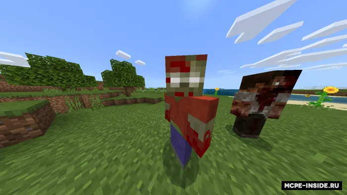 Z tajribasi — Minecraft mod, rasm 1