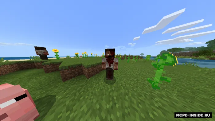 Z tajribasi — Minecraft mod, rasm 2