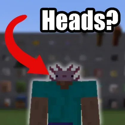 Heads