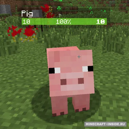 Neat — Minecraft mod, rasm 1