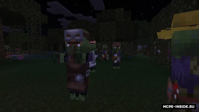 Zombi aholi variantlari — Minecraft mod, rasm 2