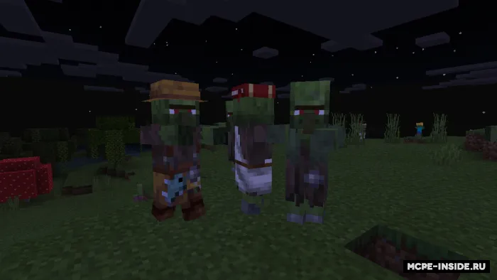 Zombi aholi variantlari — Minecraft mod, rasm 3