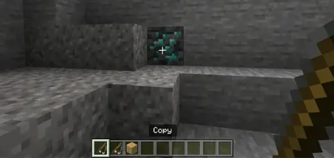 Minecraft, lekin nusxalash va joylash mumkin