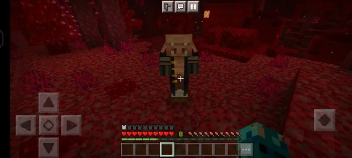 Piglinlar dunyosi — Minecraft mod, rasm 2