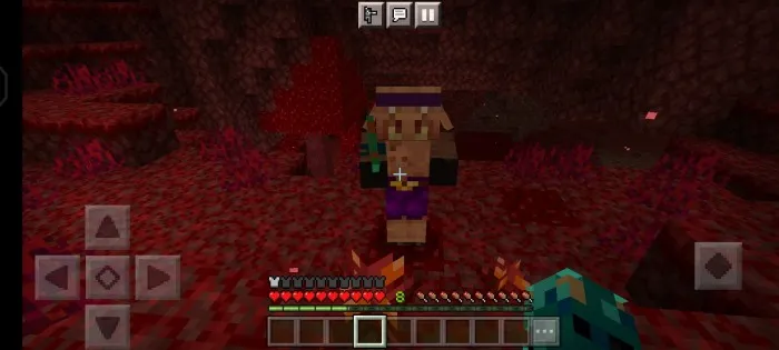 Piglinlar dunyosi — Minecraft mod, rasm 4