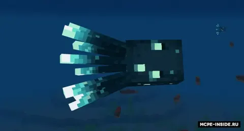 Minecraft Live 2020