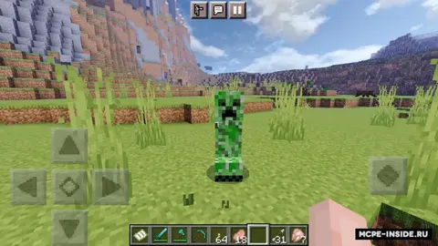 Creeperlardan olmoslar