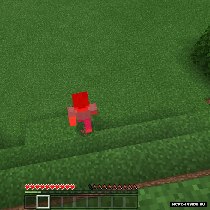 Effektlar sinovi — Minecraft mod, rasm 1