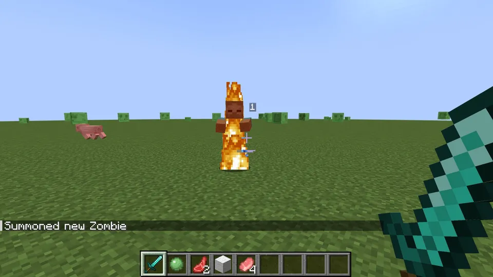 Damage Amount Displayer — Minecraft mod, rasm 2