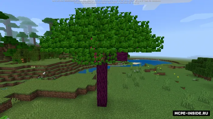 X o'rmoni — Minecraft mod, rasm 1