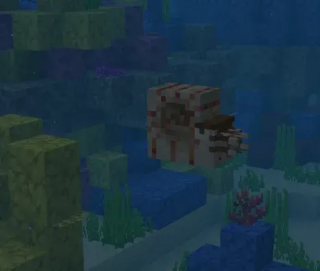 Unchalik katta bo'lmagan nautilus