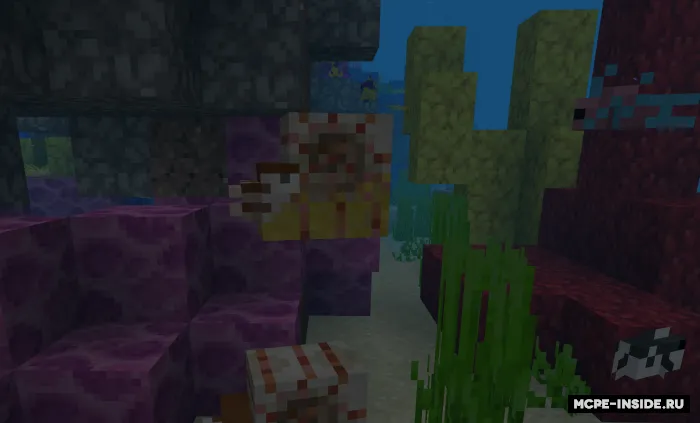 Unchalik katta bo'lmagan nautilus — Minecraft mod, rasm 2