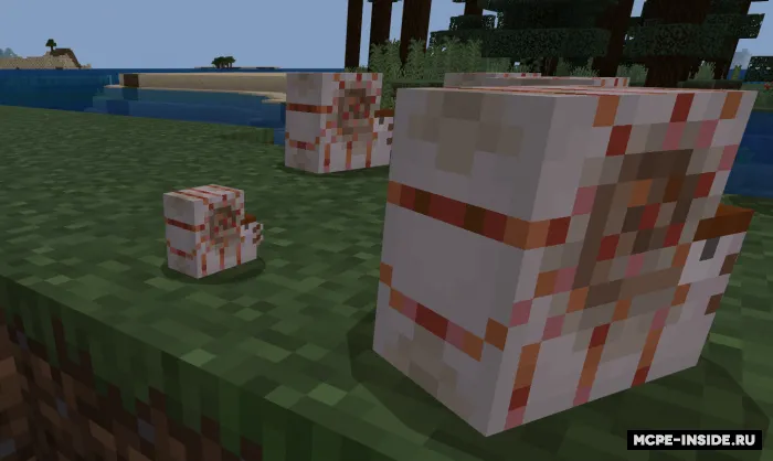 Unchalik katta bo'lmagan nautilus — Minecraft mod, rasm 3
