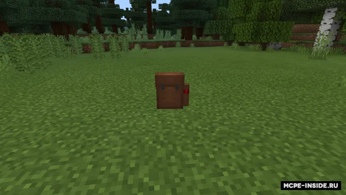 Haqiqiy ryukzak — Minecraft mod, rasm 1