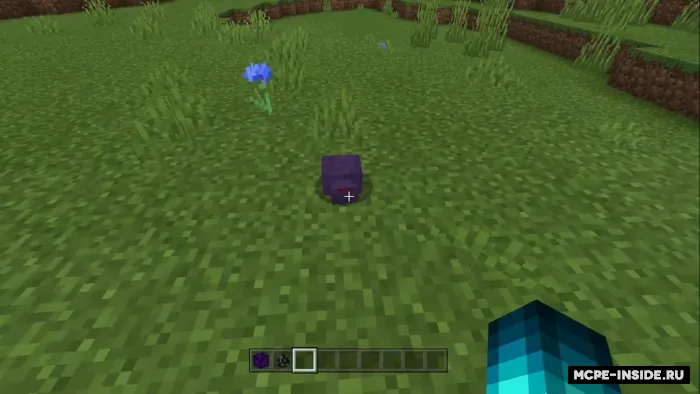 Pancake yaxshilangan endermitlari — Minecraft mod, rasm 1