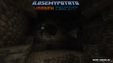 Warden konsepsiyasi