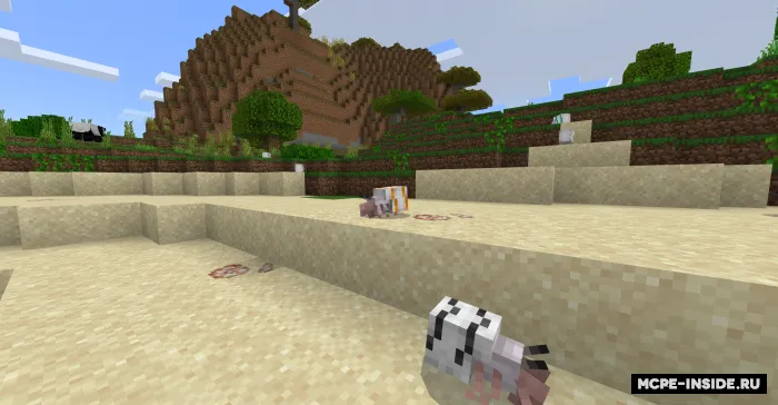 Raq-qisqichbaqalar — Minecraft mod, rasm 1