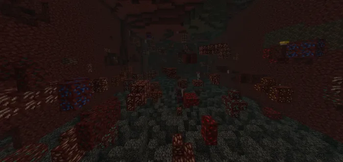 Oʻlchamlararo rudalar — Minecraft mod, rasm 2