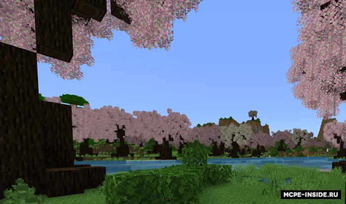 Tabiat ruhi — Minecraft mod, rasm 4