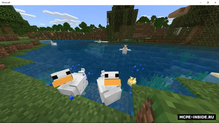 Oʻrdaklar — Minecraft mod, rasm 1