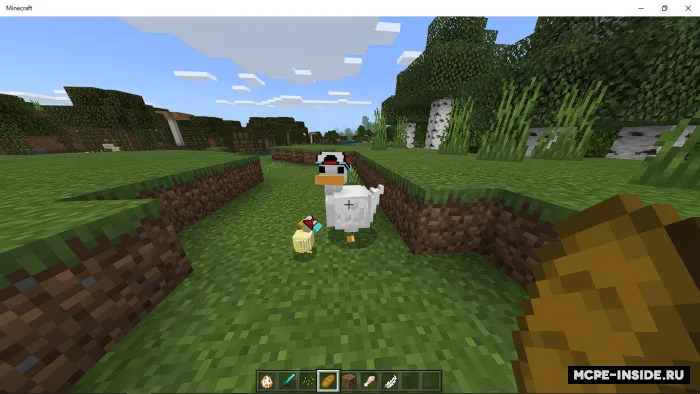 Oʻrdaklar — Minecraft mod, rasm 2