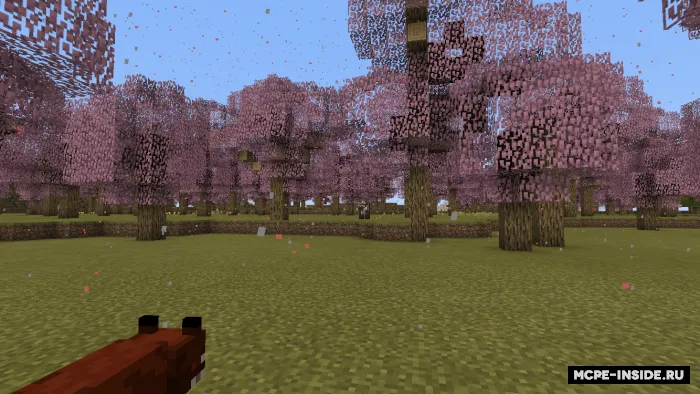 Sakura gullagan biom — Minecraft mod, rasm 2