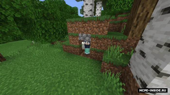 Twerks++ — Minecraft mod, rasm 2