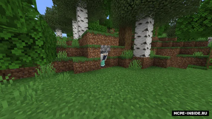 Twerks++ — Minecraft mod, rasm 3