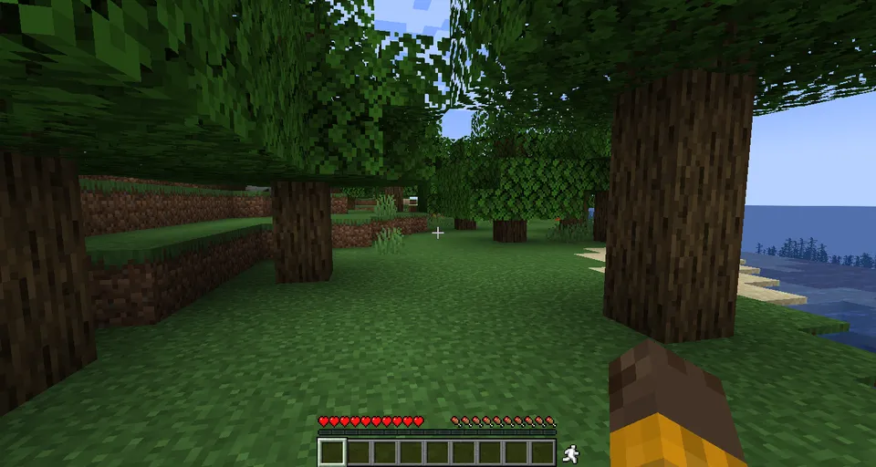 Walk, Jog, Run! — Minecraft mod, rasm 3