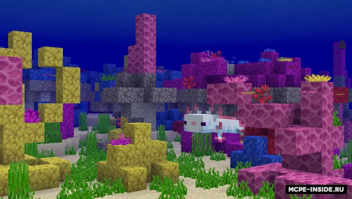 Okean dunyosi — Minecraft mod, rasm 3