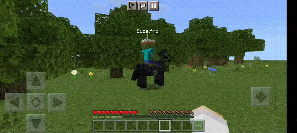 Ot uchun 2 ta egar — Minecraft mod, rasm 2