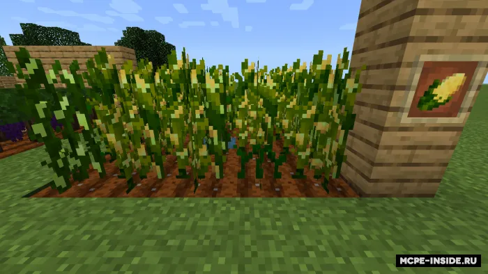 Ultra dehqonchilik — Minecraft mod, rasm 1
