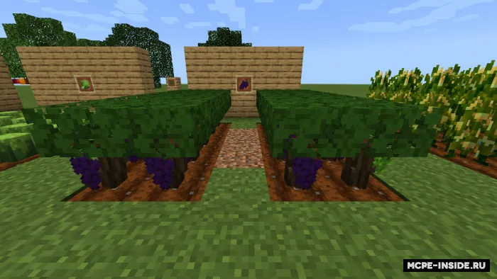Ultra dehqonchilik — Minecraft mod, rasm 2