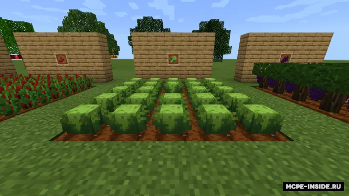 Ultra dehqonchilik — Minecraft mod, rasm 3