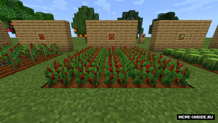 Ultra dehqonchilik — Minecraft mod, rasm 4