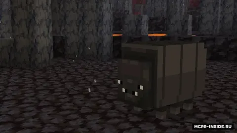 Yangi sarguzasht +