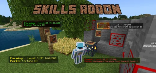 Ko'nikmalar — Minecraft mod, rasm 1