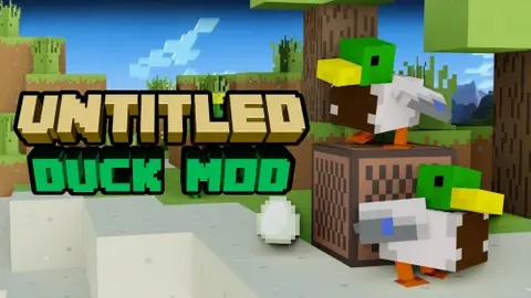 Untitled Duck