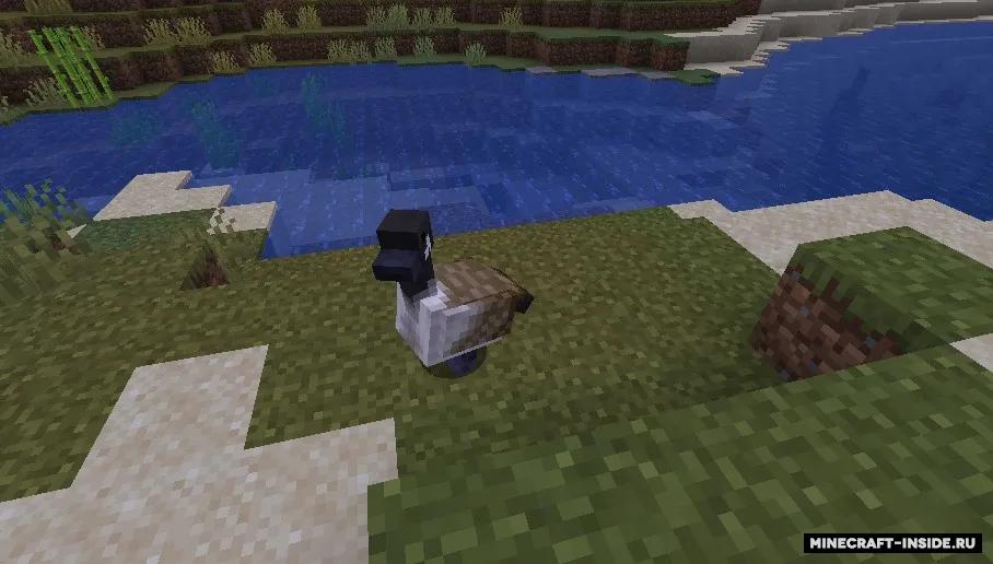 Untitled Duck — Minecraft mod, rasm 2
