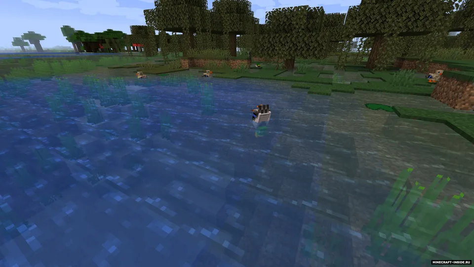 Untitled Duck — Minecraft mod, rasm 3