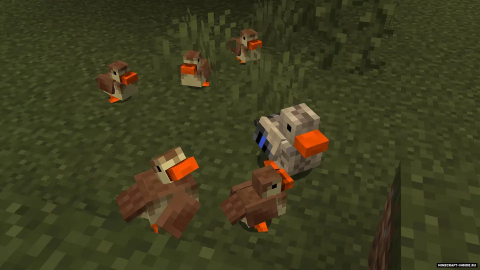 Untitled Duck — Minecraft mod, rasm 4