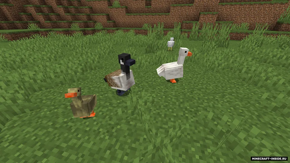 Untitled Duck — Minecraft mod, rasm 5