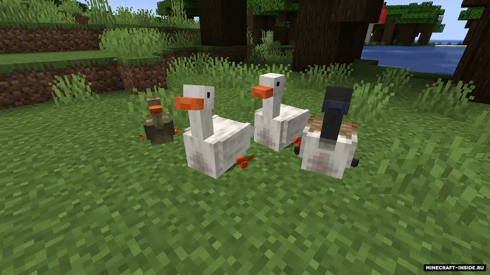 Untitled Duck — Minecraft mod, rasm 6
