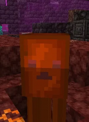 Yangi do'zax — Minecraft mod, rasm 1