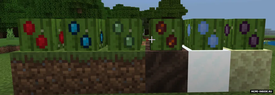 Sehrli kaktus — Minecraft mod, rasm 1