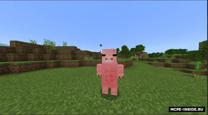 Ikki oyoqli hayvonlar — Minecraft mod, rasm 2