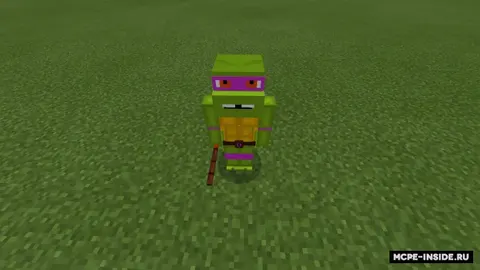 Tortoises-Ninja