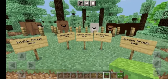 Ko'proq ayiq turlari — Minecraft mod, rasm 1
