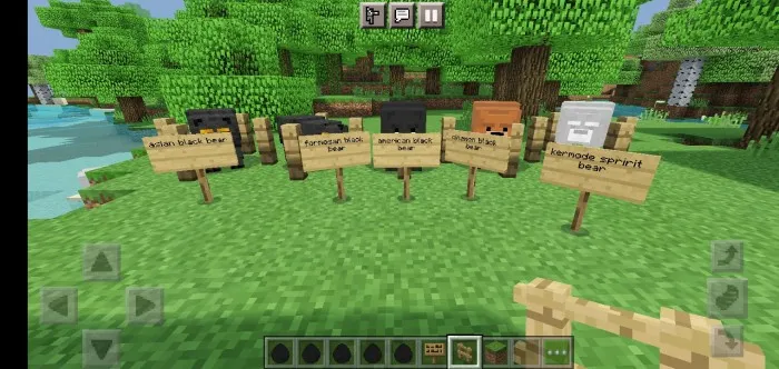 Ko'proq ayiq turlari — Minecraft mod, rasm 2